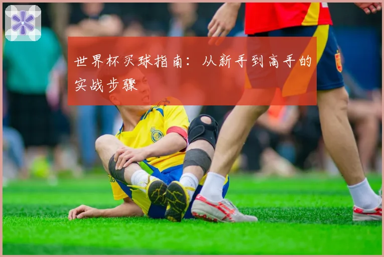 世界杯买球指南：从新手到高手的实战步骤