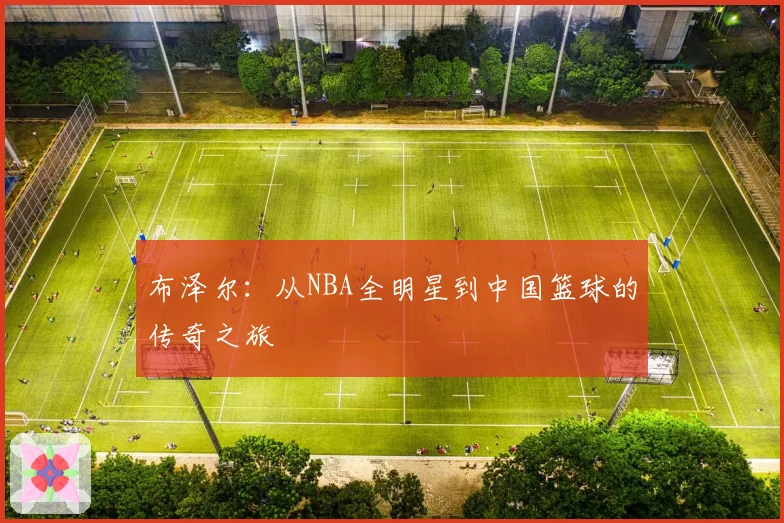 布泽尔：从NBA全明星到中国篮球的传奇之旅