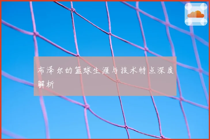 布泽尔的篮球生涯与技术特点深度解析