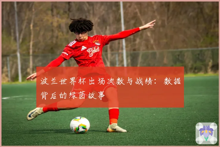 波兰世界杯出场次数与战绩：数据背后的绿茵故事