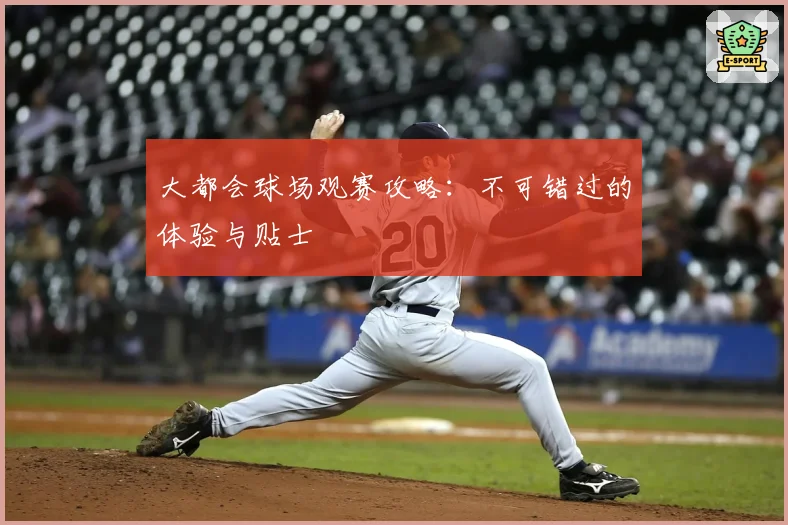 大都会球场观赛攻略：不可错过的体验与贴士