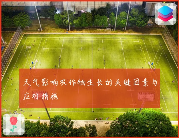 天气影响农作物生长的关键因素与应对措施